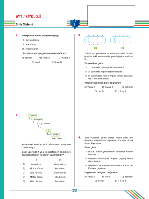 AYT BİYOLOJİ YAPRAK TEST